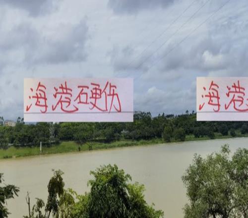 除海港外！前5主场都有超4万场次海港球迷不够隔壁多也是硬伤